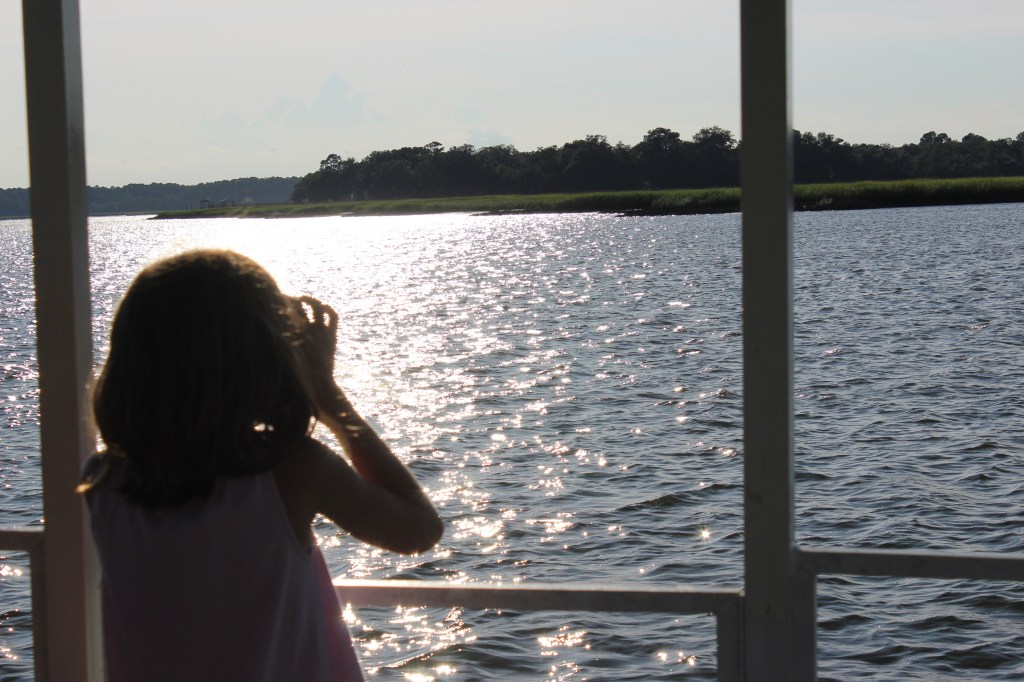 Carmen on the lookout for dolphins