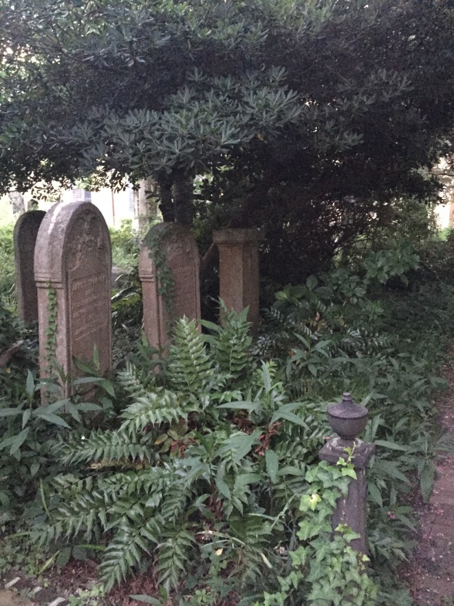 In the cemetery before it got dark